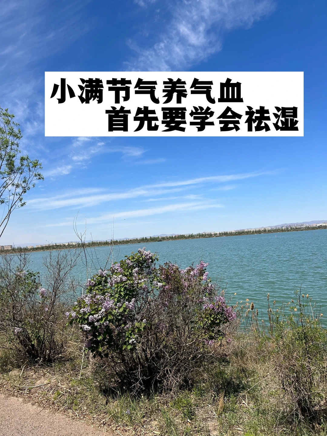 小满节气，抓住除湿关键15天.