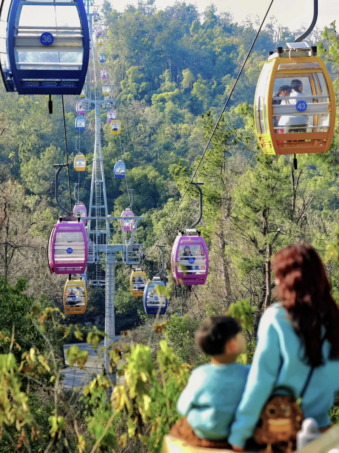 2026带娃来武汉东湖，我只做这八件事💙……