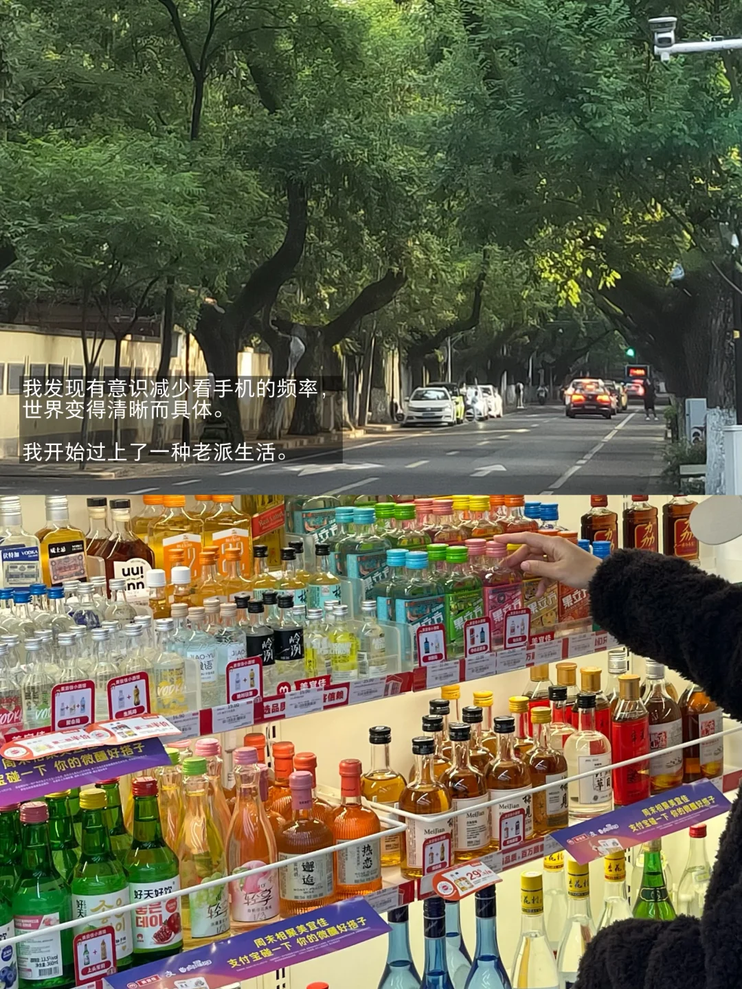 她好像过上了一种老派生活。