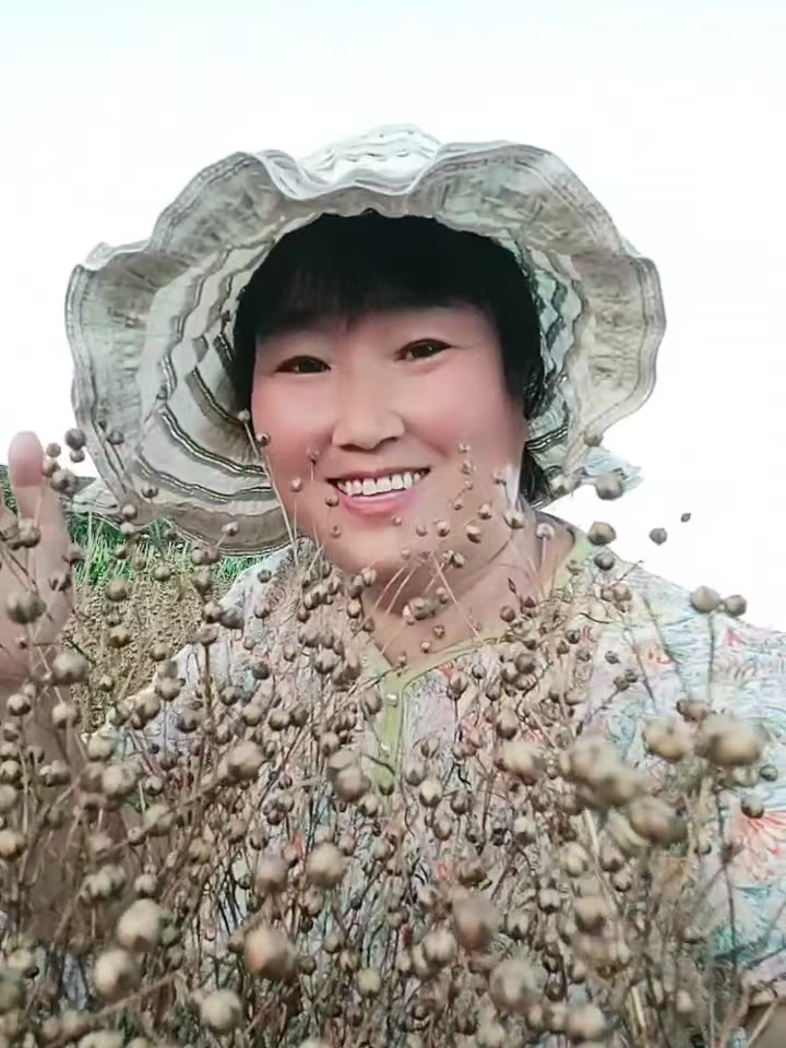 胡麻，黄土高坡最牛的一种农产品。从种植到收割，全程一次农药都不打。

很多朋友不