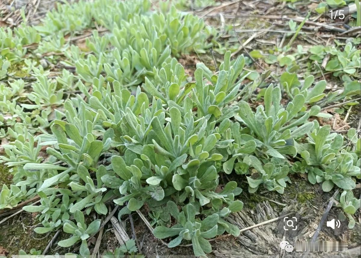 夫妻感情这事儿，门道可不少。人老了就懂，维系夫妻感情可不只是靠亲情。生...