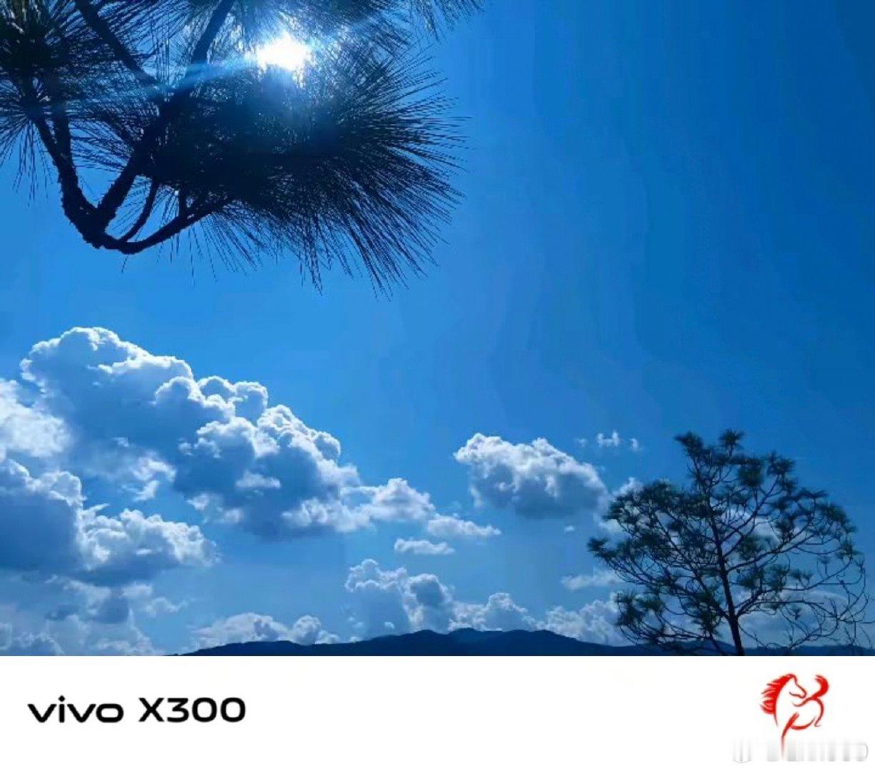 #vivo[超话]##vivo超话# 抬头望向辽阔的蓝天，蓬松的云朵大朵大朵漂浮，松枝框住耀眼的阳光，大自然随手就勾勒出很舒服的画面。 ​