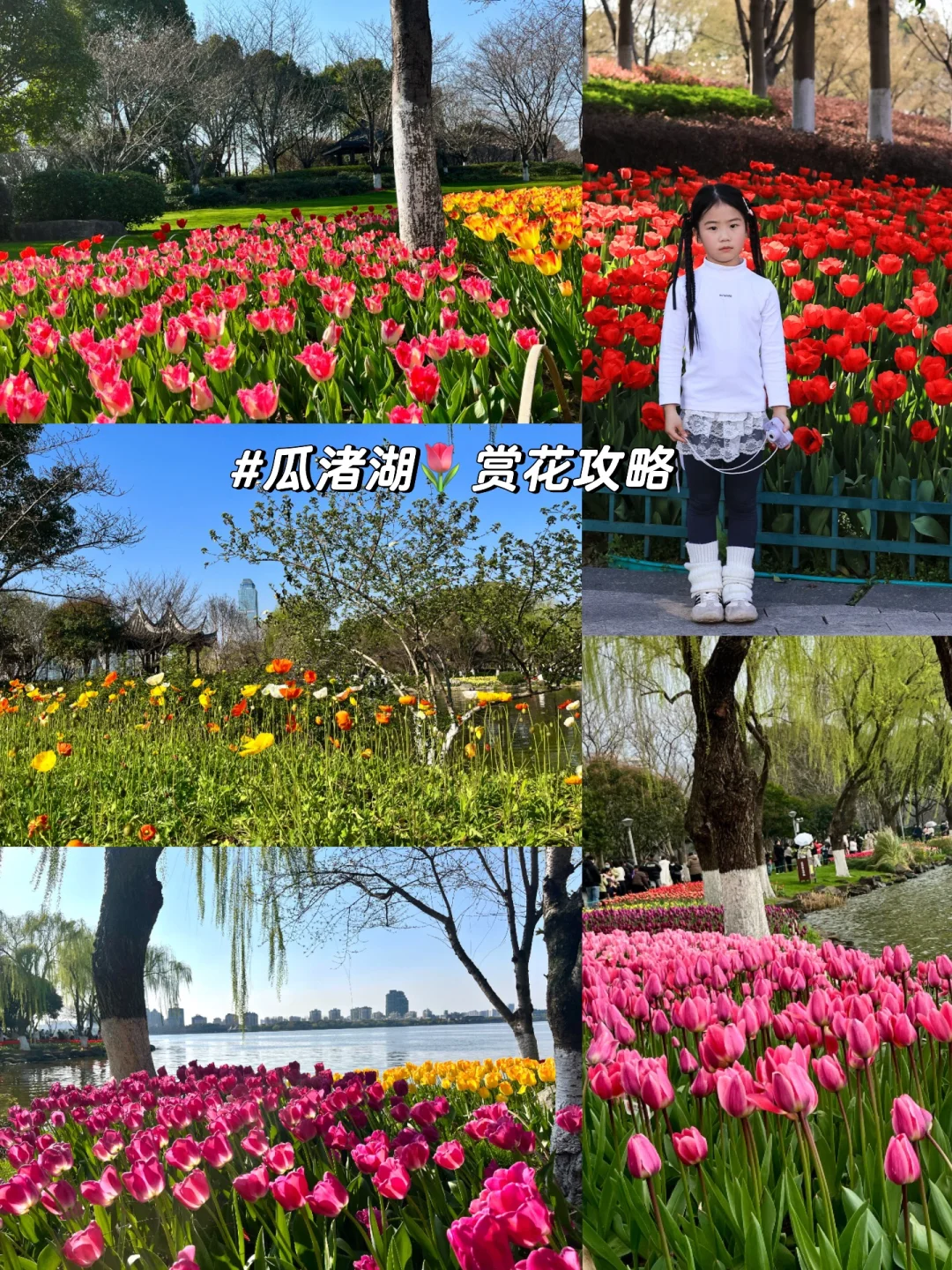 三月来绍兴玩吧，真的要被美哭了🌷免费赏花