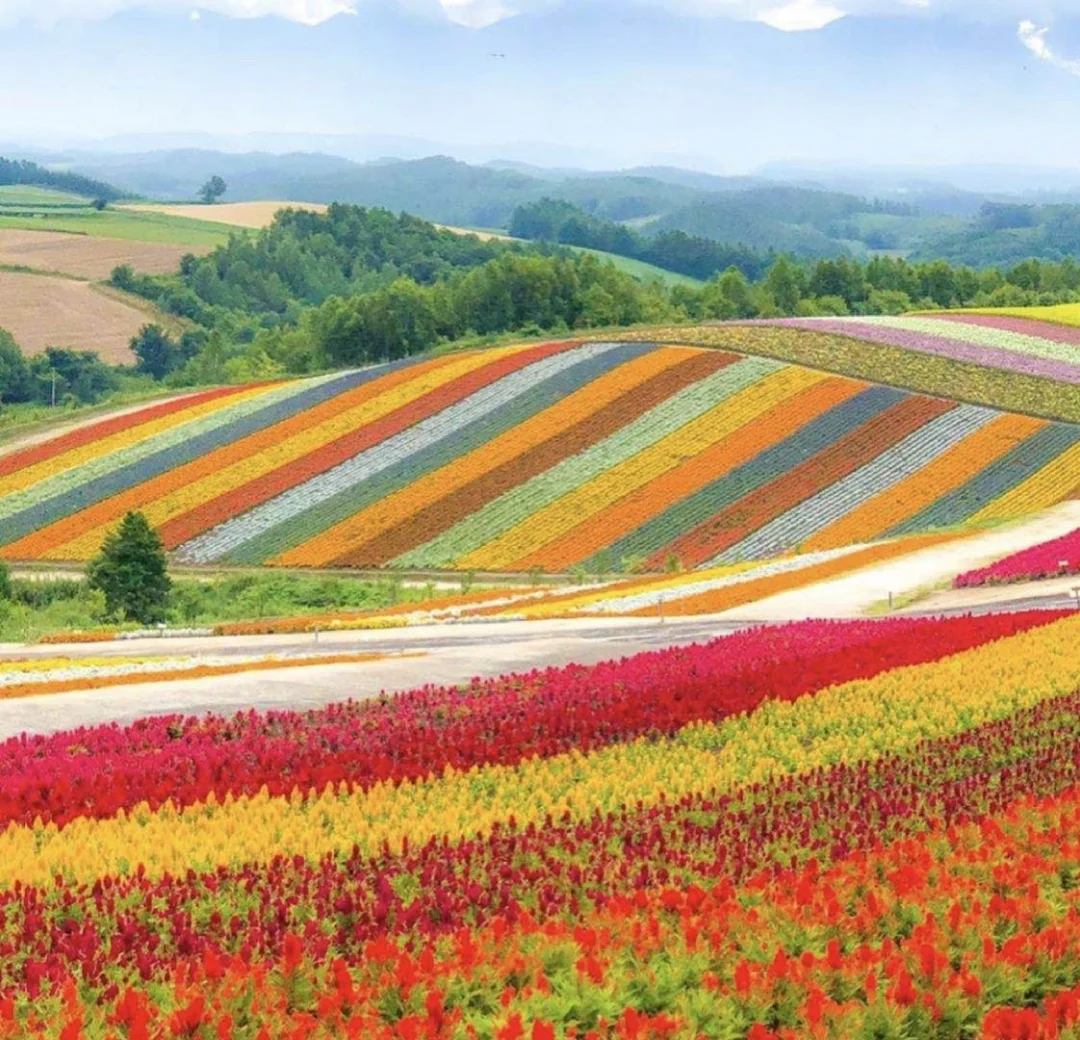 日本北海道丨画里的童话世界向往的生活