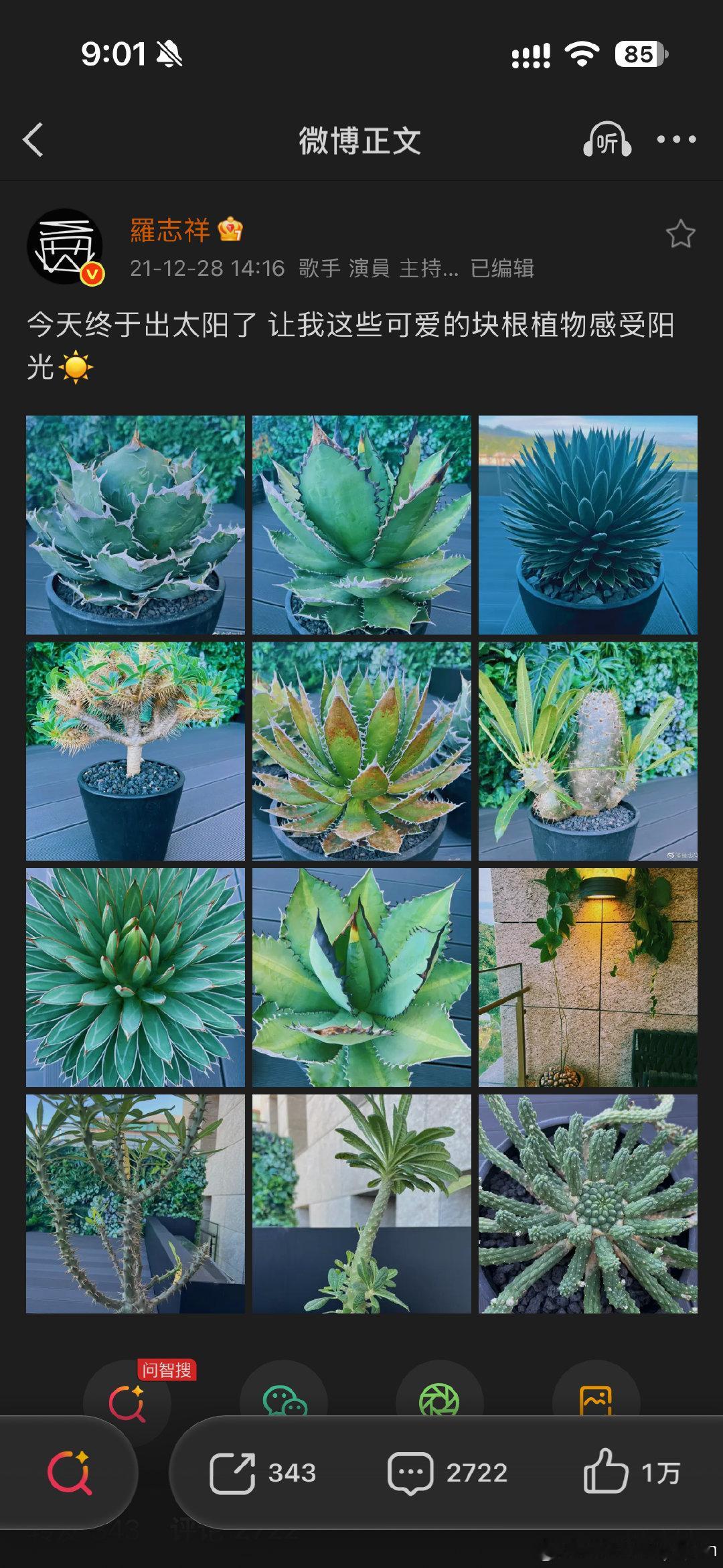 #罗志祥疫情时养的植物陪伴多年#随便发点生活日常都能上热搜。大明星是这样的。5年前vs2年前vs现在，植物养很好哦#罗志祥[超话]# ​