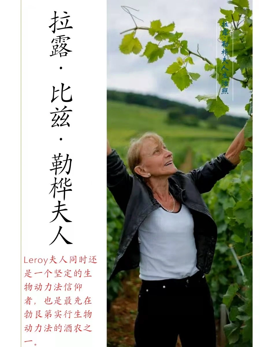 葡萄酒界“传奇女性”|“女传奇”勒桦夫人