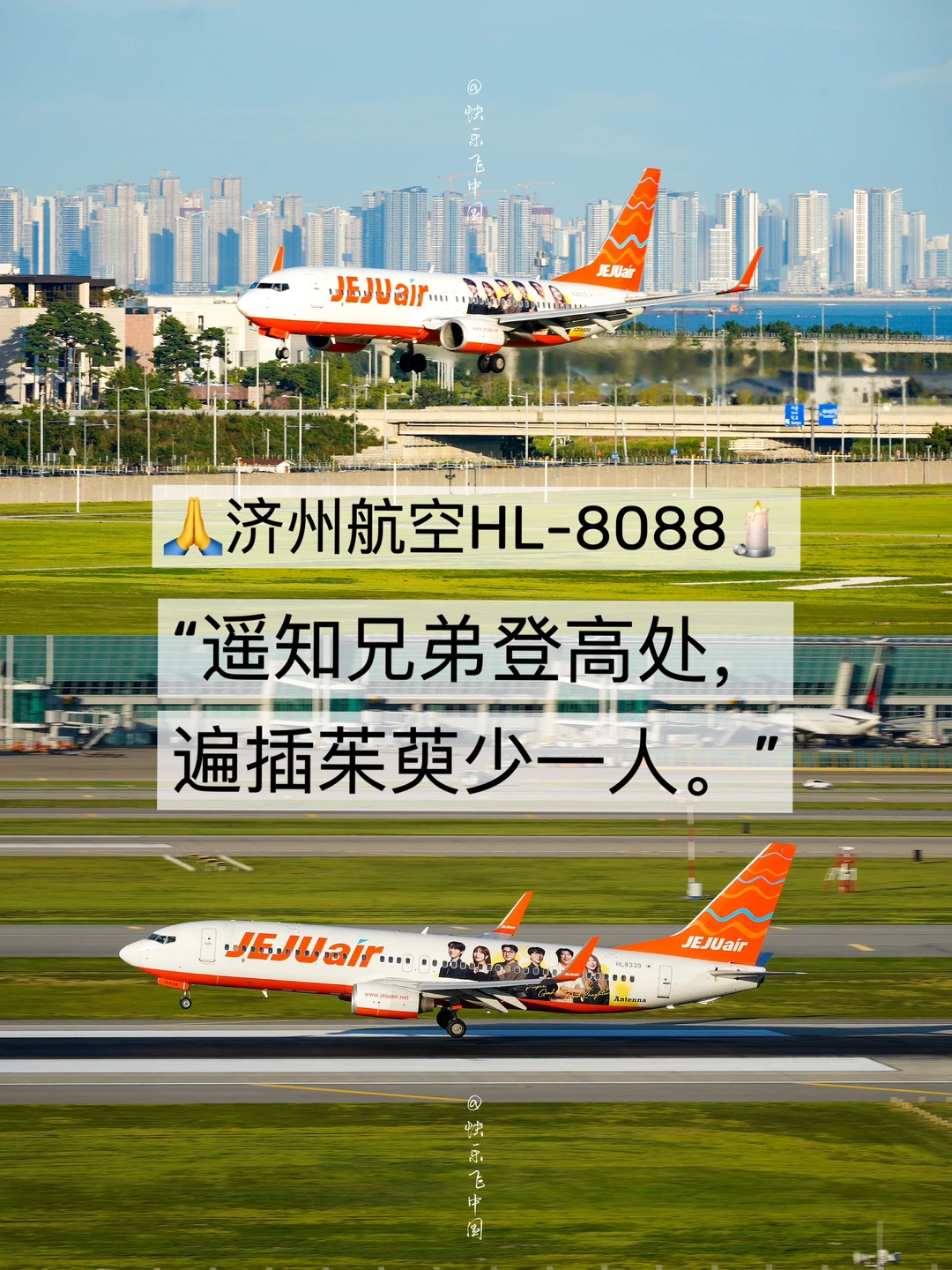 济州HL8088: 遥知兄弟登高处遍插茱萸少一人