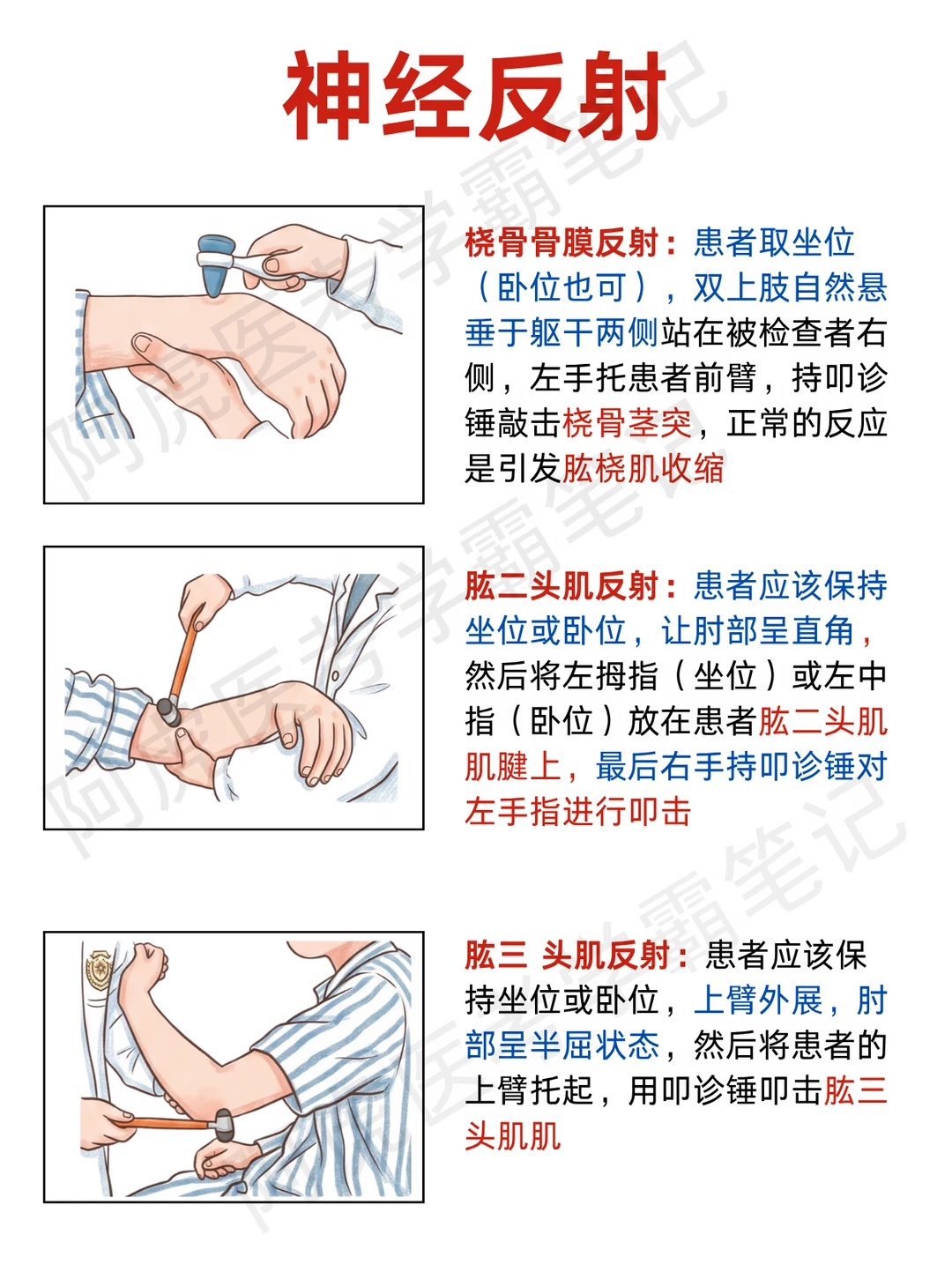 阿虎医考临床技能笔记📚：神经反射👆