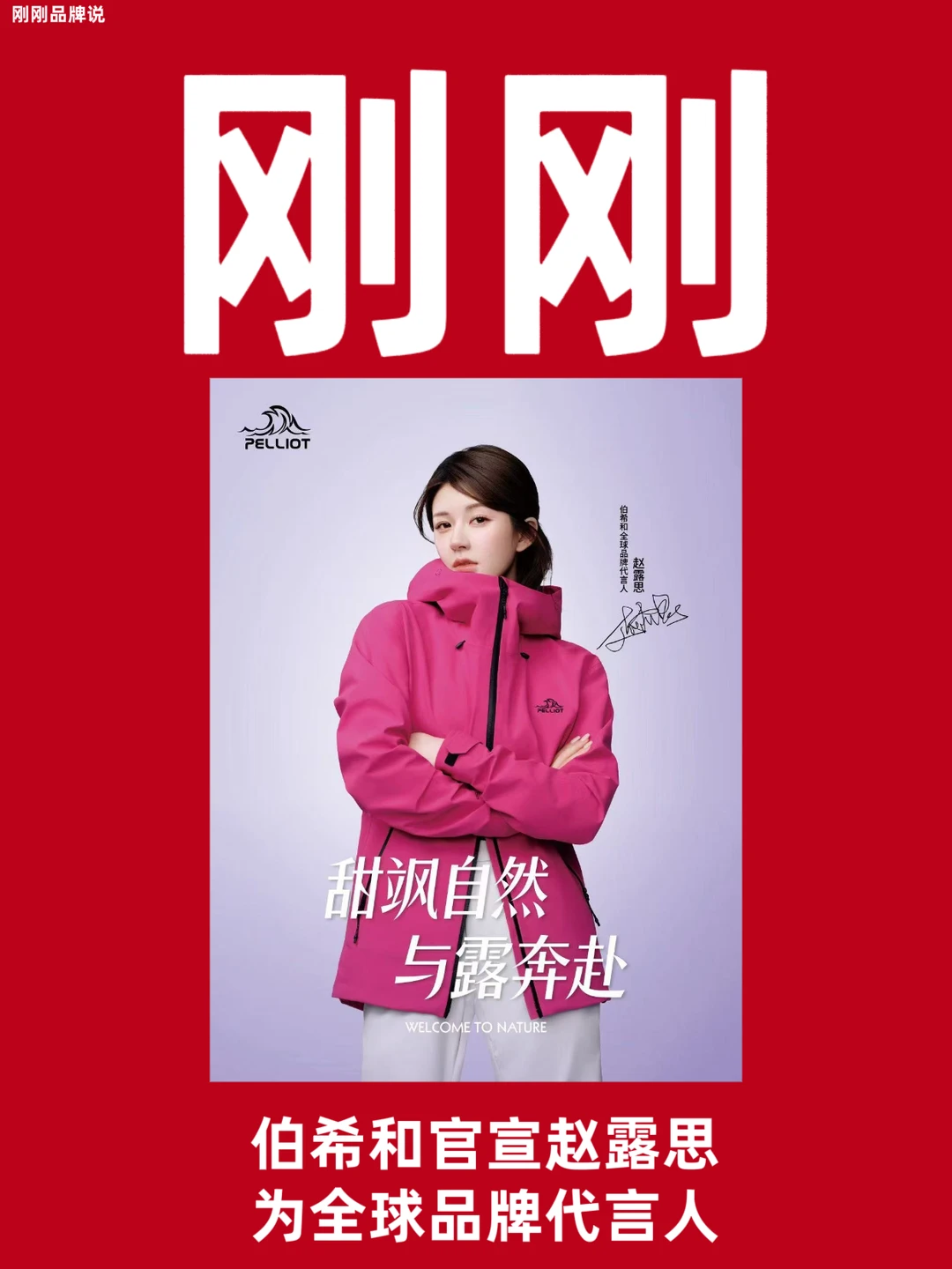 伯希和官宣赵露思为全球品牌代言人