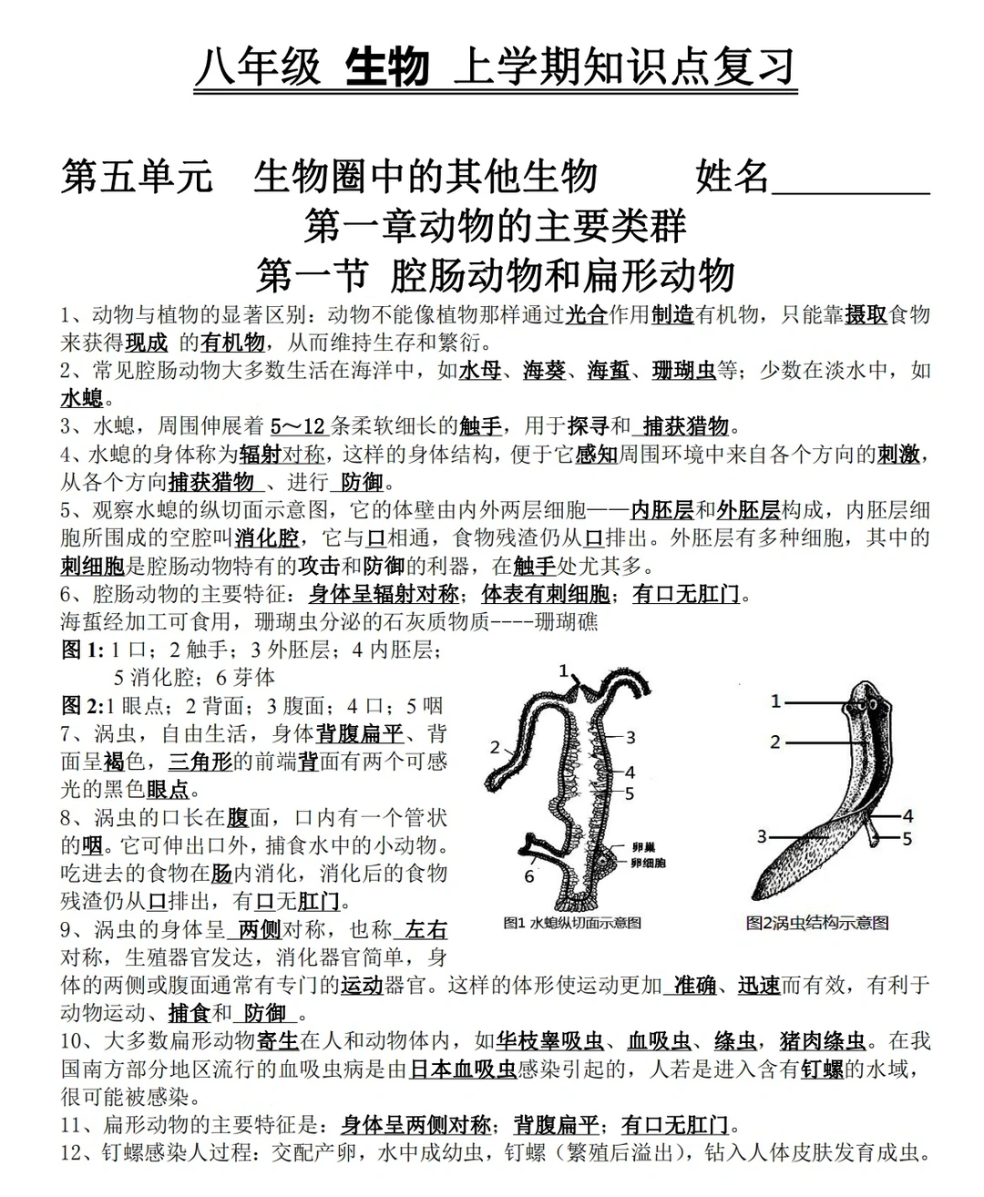 八年级上册，生物知识点汇总‼️