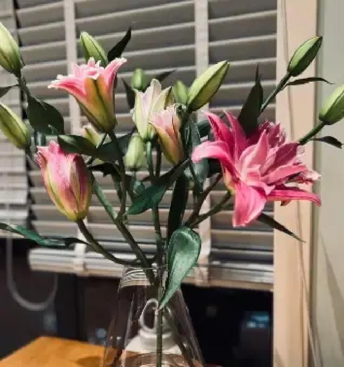 王一博又去玩滑板了，还发了新动态。

他一有空就扎进滑板场，把那些镁光灯和通告都甩在身后，只和自己的板子待在一起。
所以他把滑板从素人时期一直带到现在，把这份热爱刻进骨子里，然后掰开来给我们看一点点真实的自己。