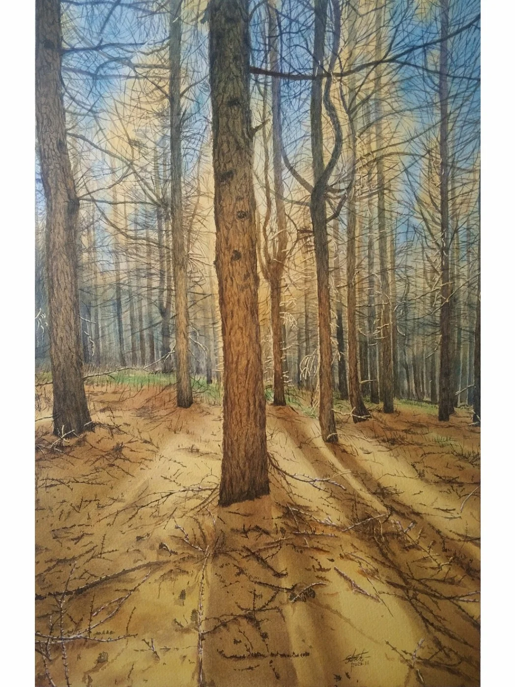 水彩- 树林斜阳