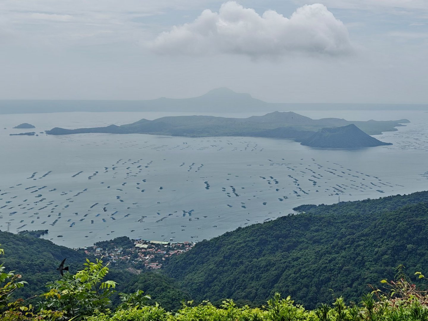 湖山奇观——菲律宾大雅台塔尔火山湖  ​