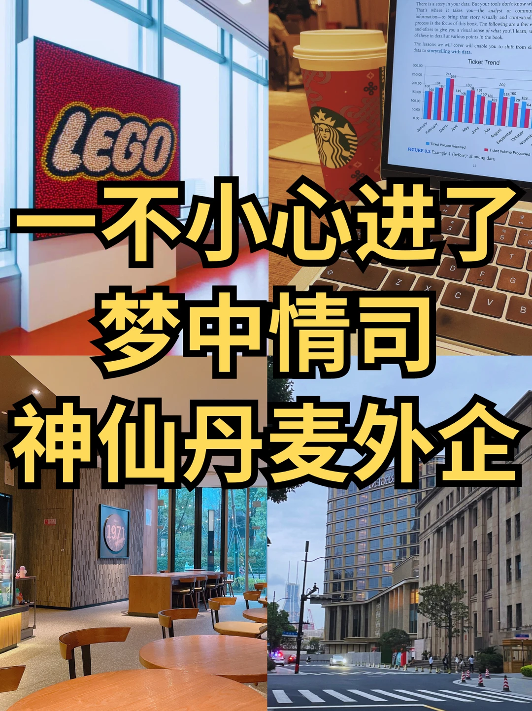 一不小心进了丹麦外企🇩🇰准备干到退休！