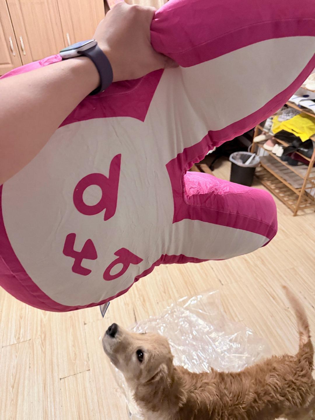 好久没发狗了，最近重新训练了一下基本又会定点了
但是他还是喜欢下楼上厕所
今天照着 Gemini 给的营养成分范围去买了一家国产粮，但愿他不要软便[祈祷][祈祷][祈祷] ​