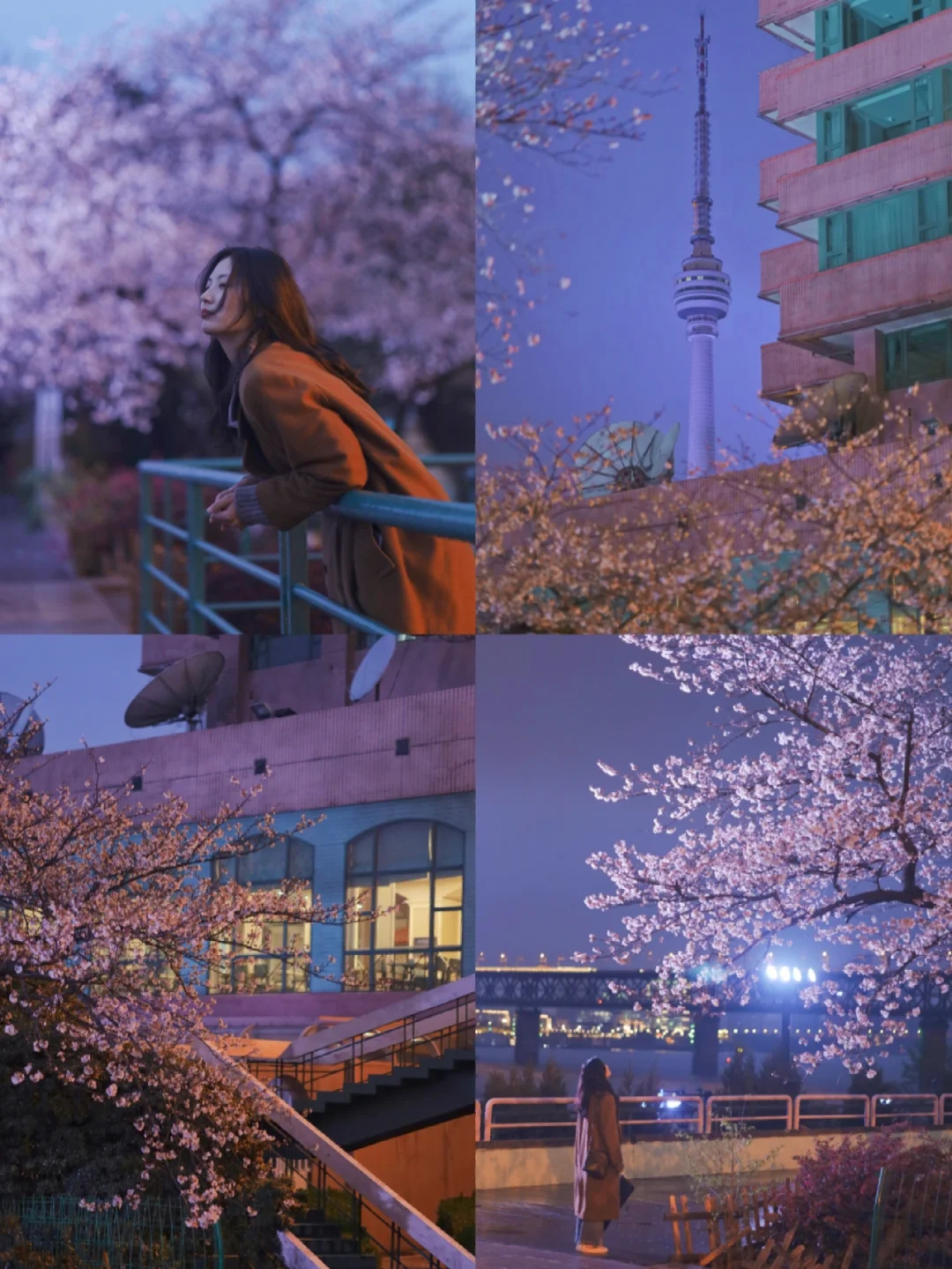 武汉赏樱预告2⃣最具日剧氛围感的小众赏樱