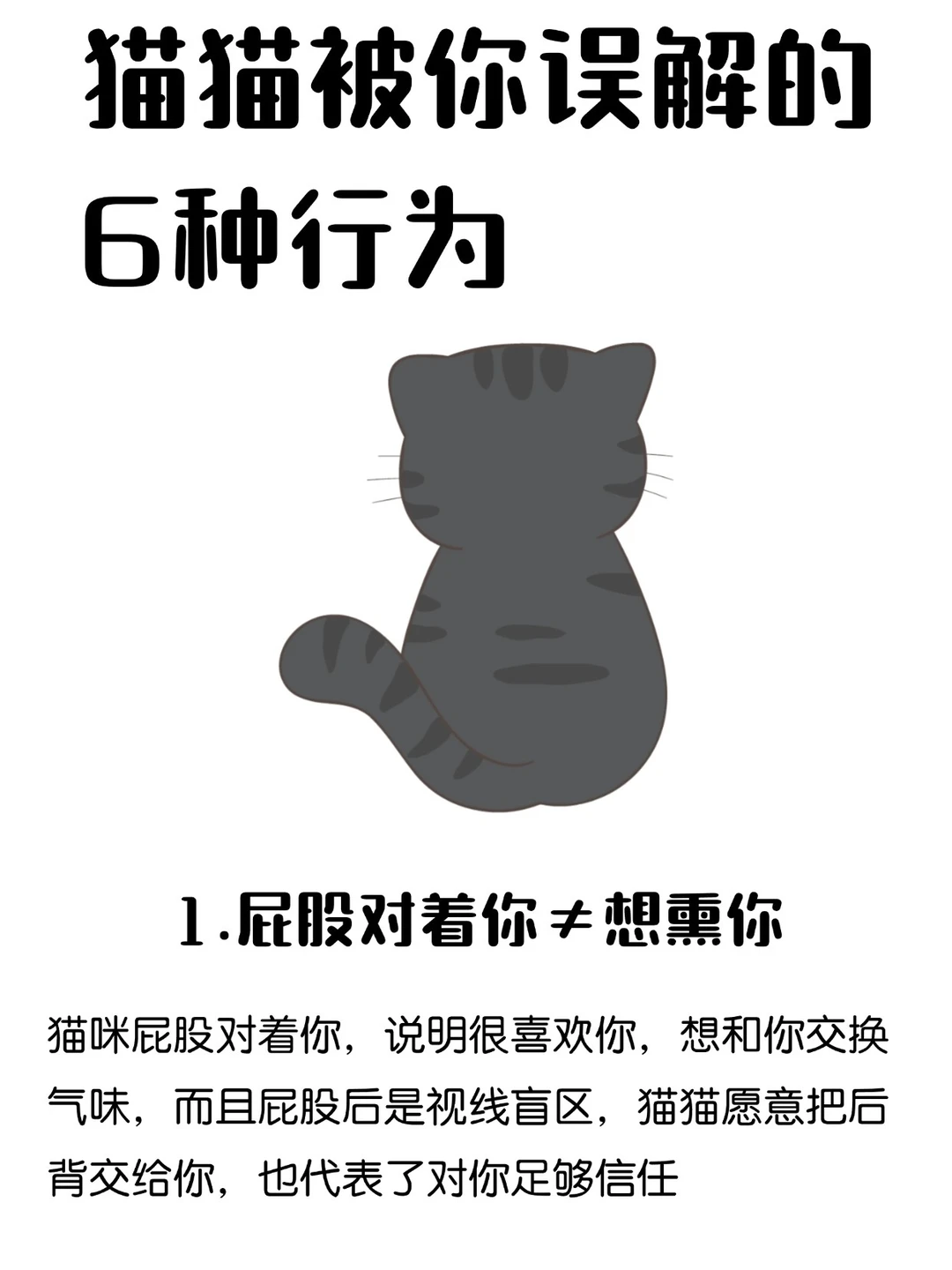 猫猫被你误解的6种行为