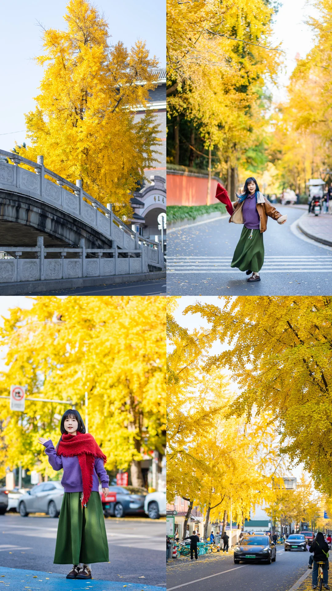 暴走6km❗成都老城区藏着的金黄Citywalk