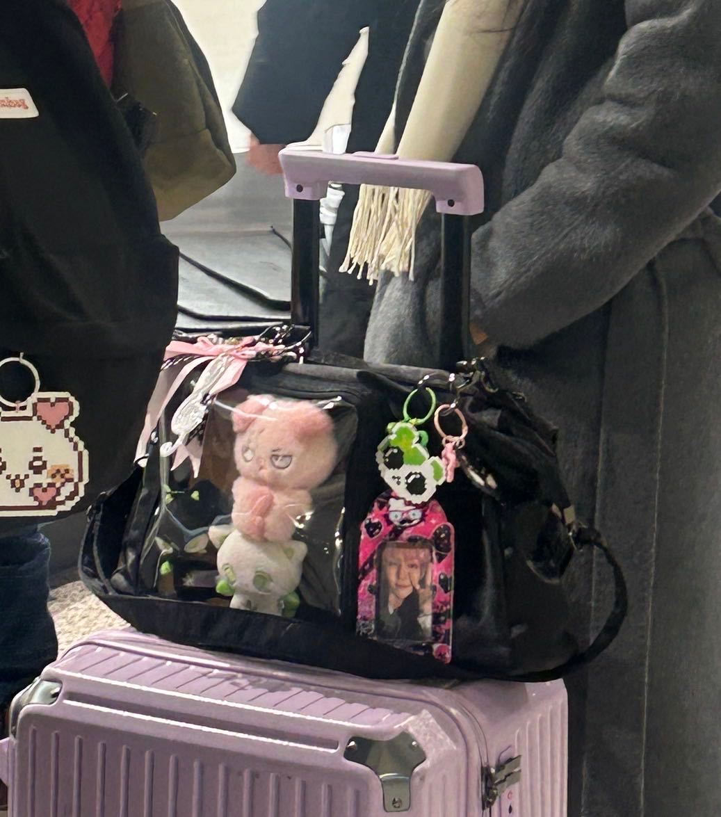 翻相册翻到这个真的特别搞笑，1.27大阪飞札幌的时候不知道为啥遇到特别多颅内 除了这个偷拍到的还有一个包里是饺娃娃的颅内 好像是韩国人 ​