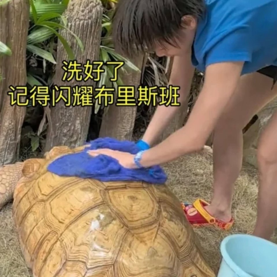 这张表情包本来已经很好笑了直到我发现图上的人类是全红婵，更好笑了救命啊 ​