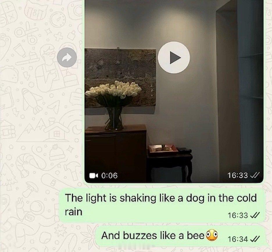 chat很激进 deepseek很保守 同一个答案给我两参考
比我还两极生四象🚬
本人就这样互相传话 相互制衡 帝王心术….
看书的时候不太懂
这会儿到有点体会嘉靖了🧘‍♀️
（Gemini有点小白吃，Claude不敢用 怕它让我直接 不要给！ ​