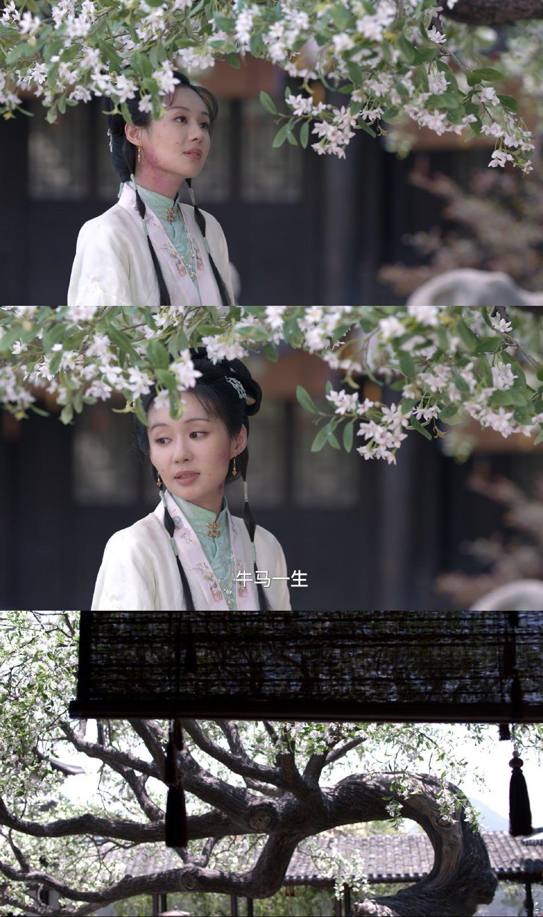 郑合惠子 在恶毒白莲花女配这条赛道上 应该获个大奖！演的太太太太好了！
兰香如故18集 封神！ ​​​