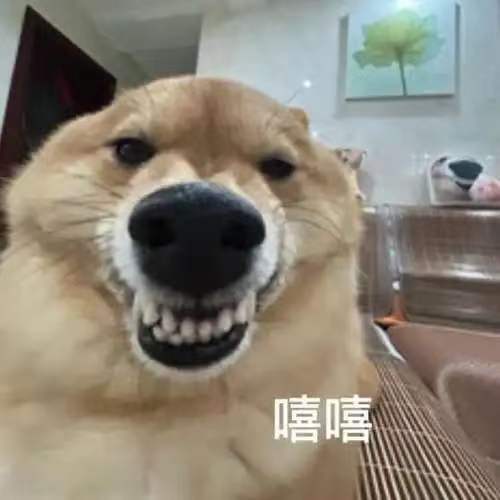 #网友称狗腿付才是真接地气# 刚沉浸在狗腿付的快乐幻想里就看到官方辟谣，瞬间有点小小的失落，我还满心期待以后使唤机器狗帮我出门采购各类生活用品呢#支付宝辟谣狗腿付# ​