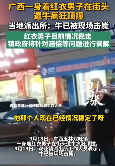 “吓死人了！”广西，一名红衣男子在街头突遭一头牛疯狂顶撞，人被撞翻在地，牛角反复