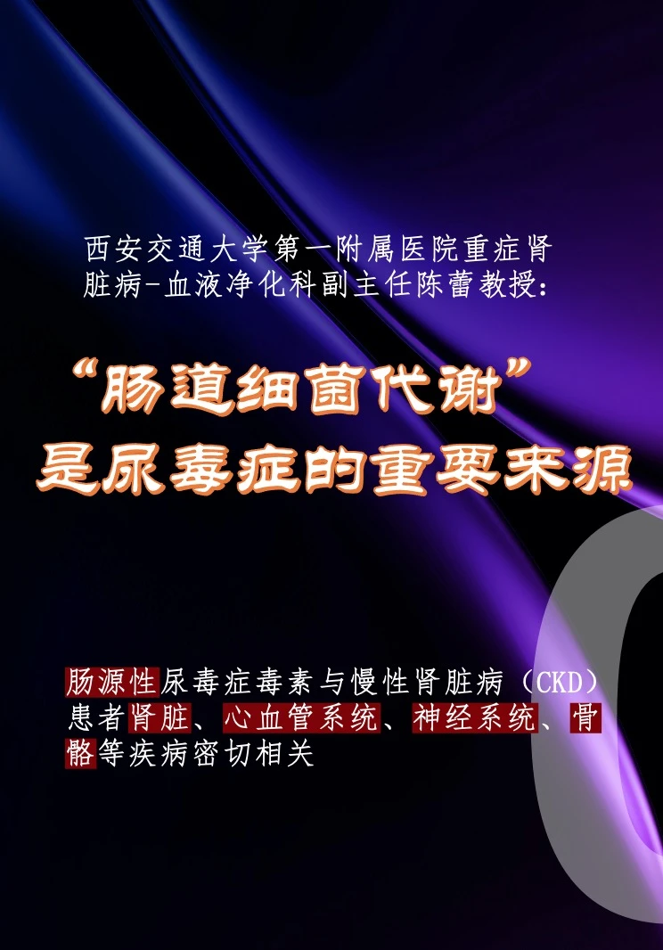 “肠道细菌代谢”是尿毒症的重要来源之一