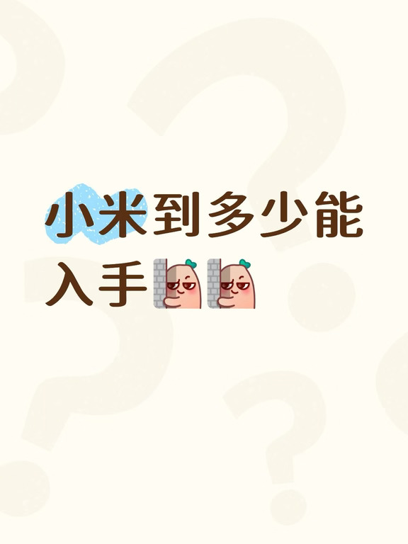 小米多少入手