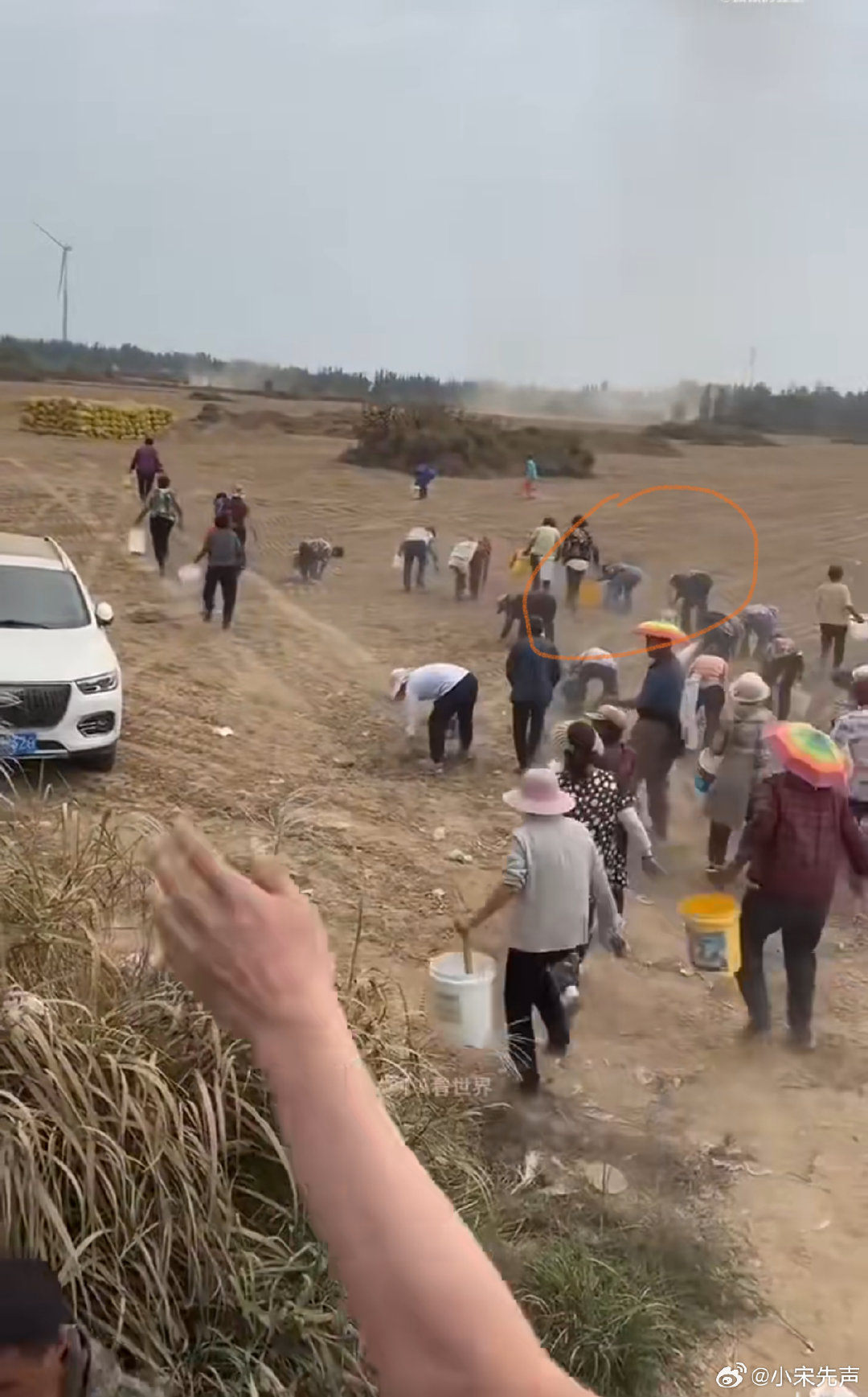 #河北某地哄抢秋花生#这标题起的有问题啊！应该是大面积承包户收完花生以后，村民来捡拾遗落地里的散花生。这本就是正常现象，有必要上纲上线变成“哄抢”吗？[思考] ​