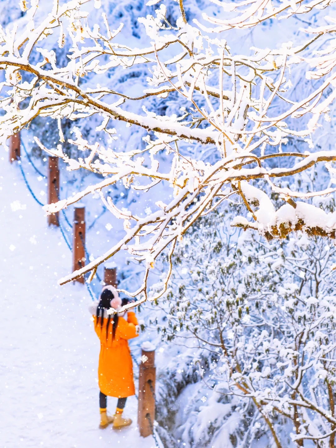 瓦屋山冬季旅行攻略，直接进来抄作业啦！