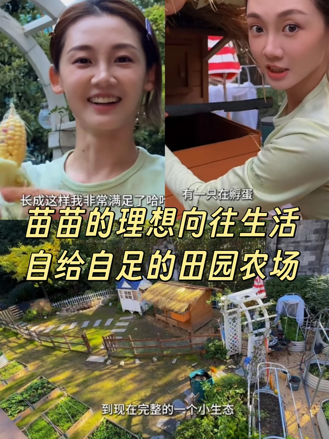 看完苗苗的农场❗我的理想生活具象化了