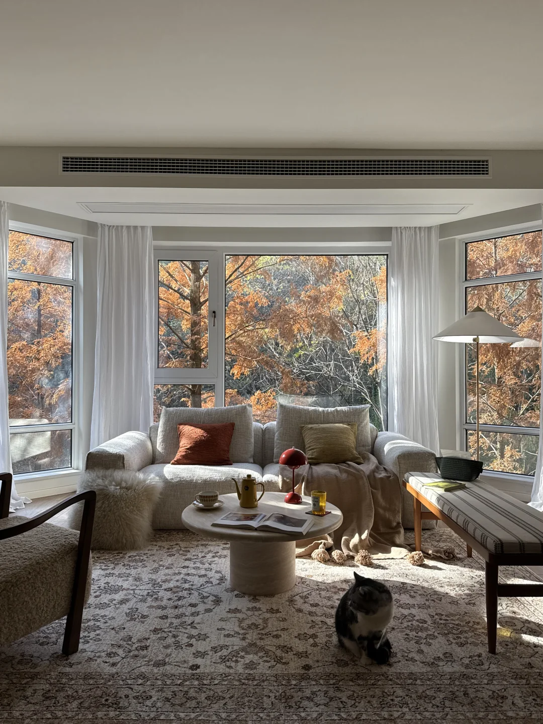 绝美的秋色🍂这就是树景房的美好