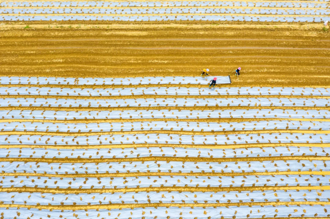 【每日分享】秋日话语