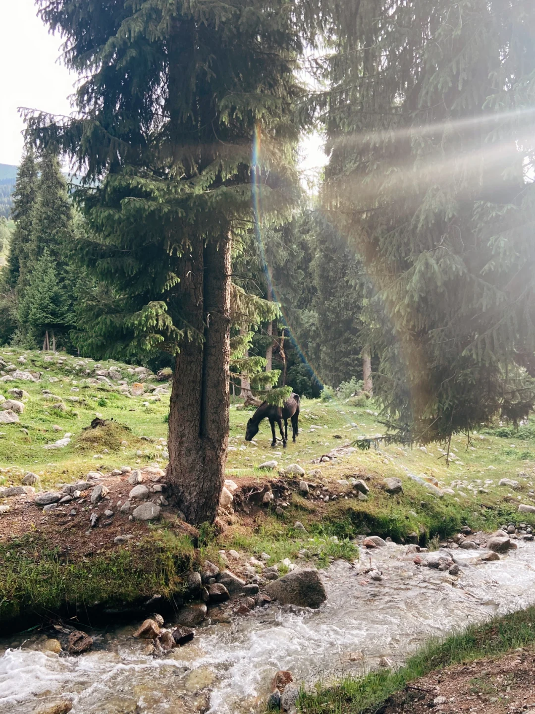 新疆｜伊黎琼库什台村