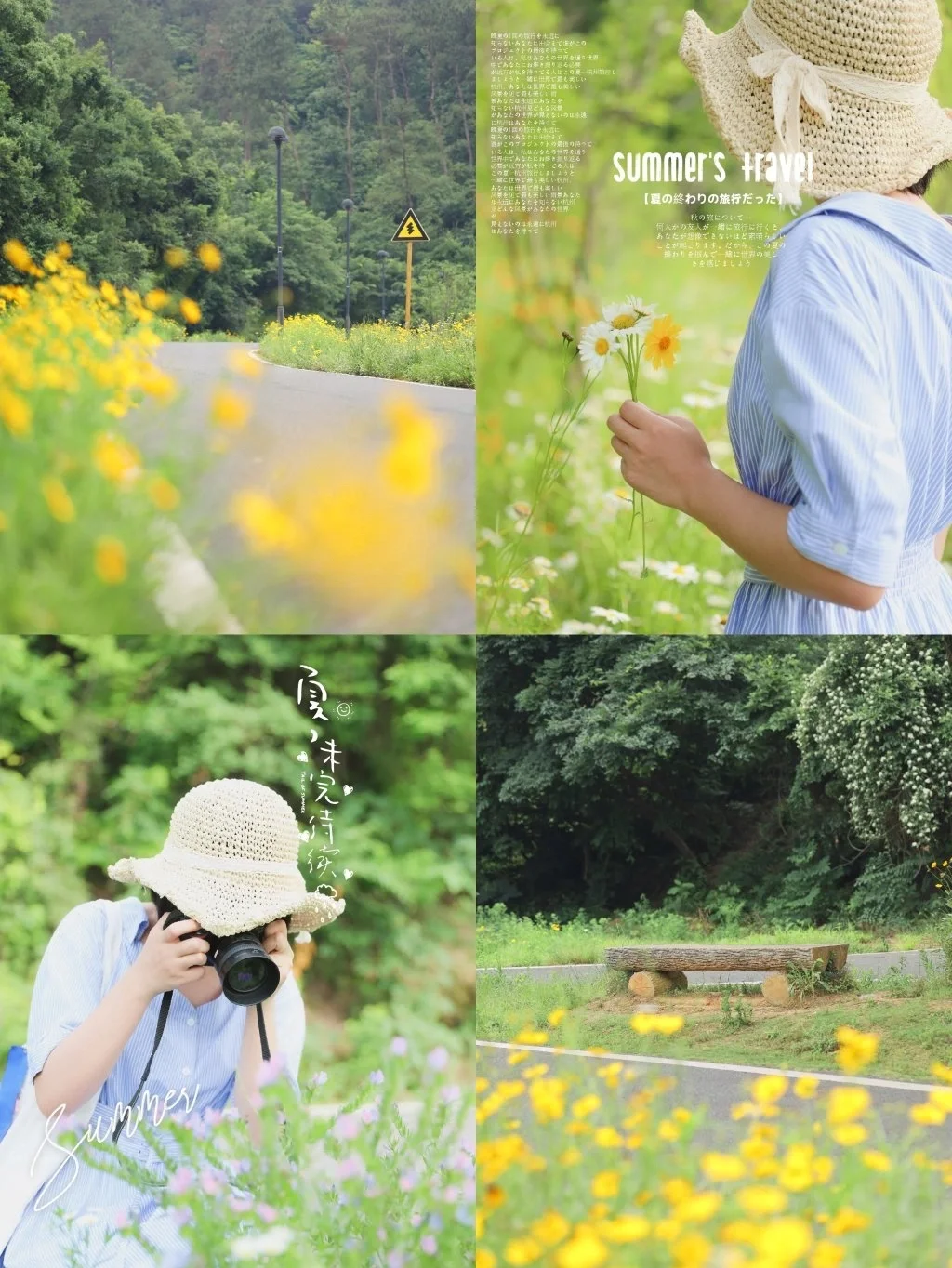 每周一山/武汉最美徒步秘境，百亩花海盛开