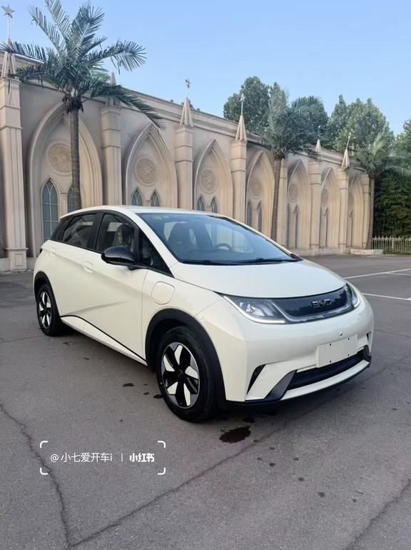 都说海豚小，坐进去的人却沉默了