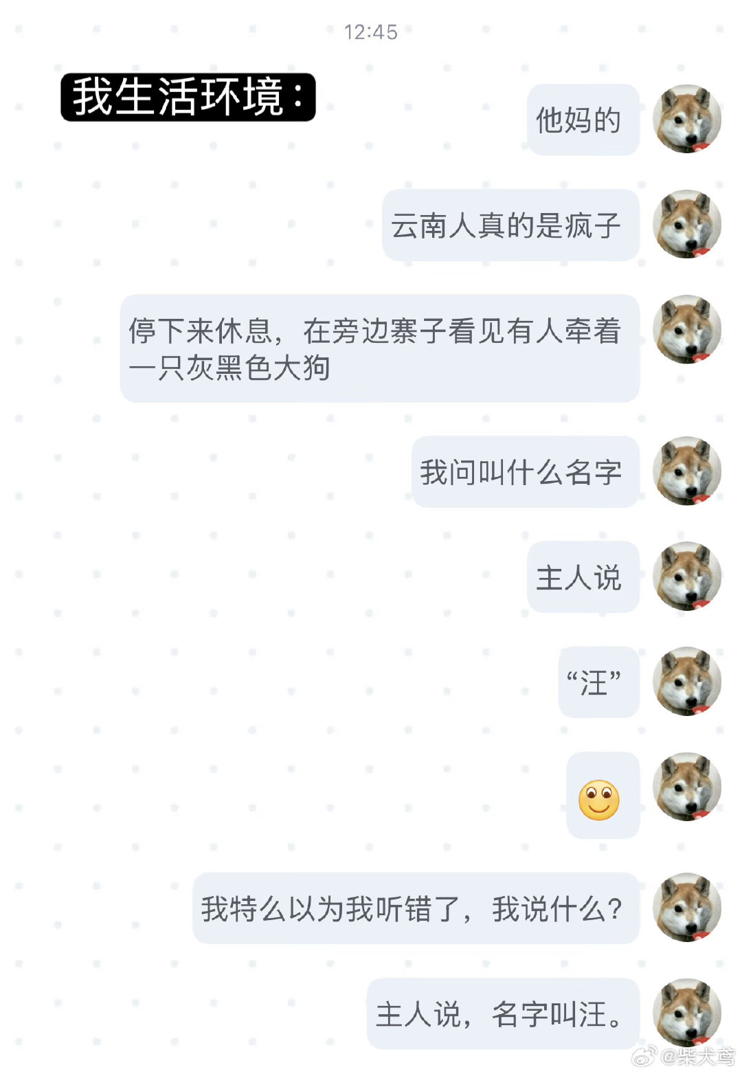 哞的一声上路了 ​