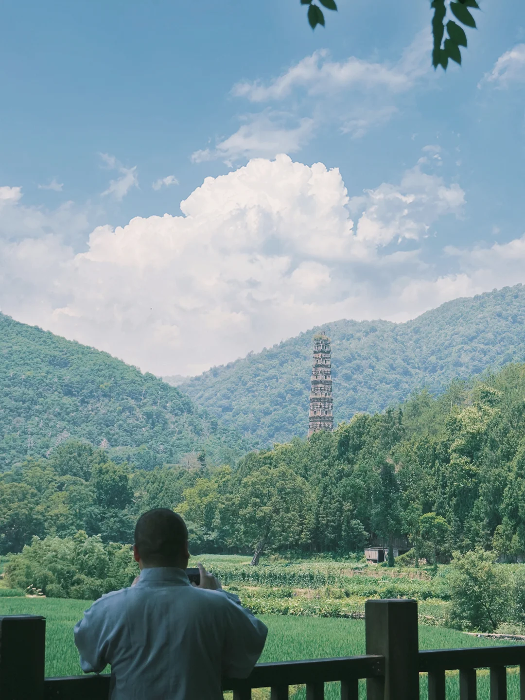 这是我跟风最成功的一次