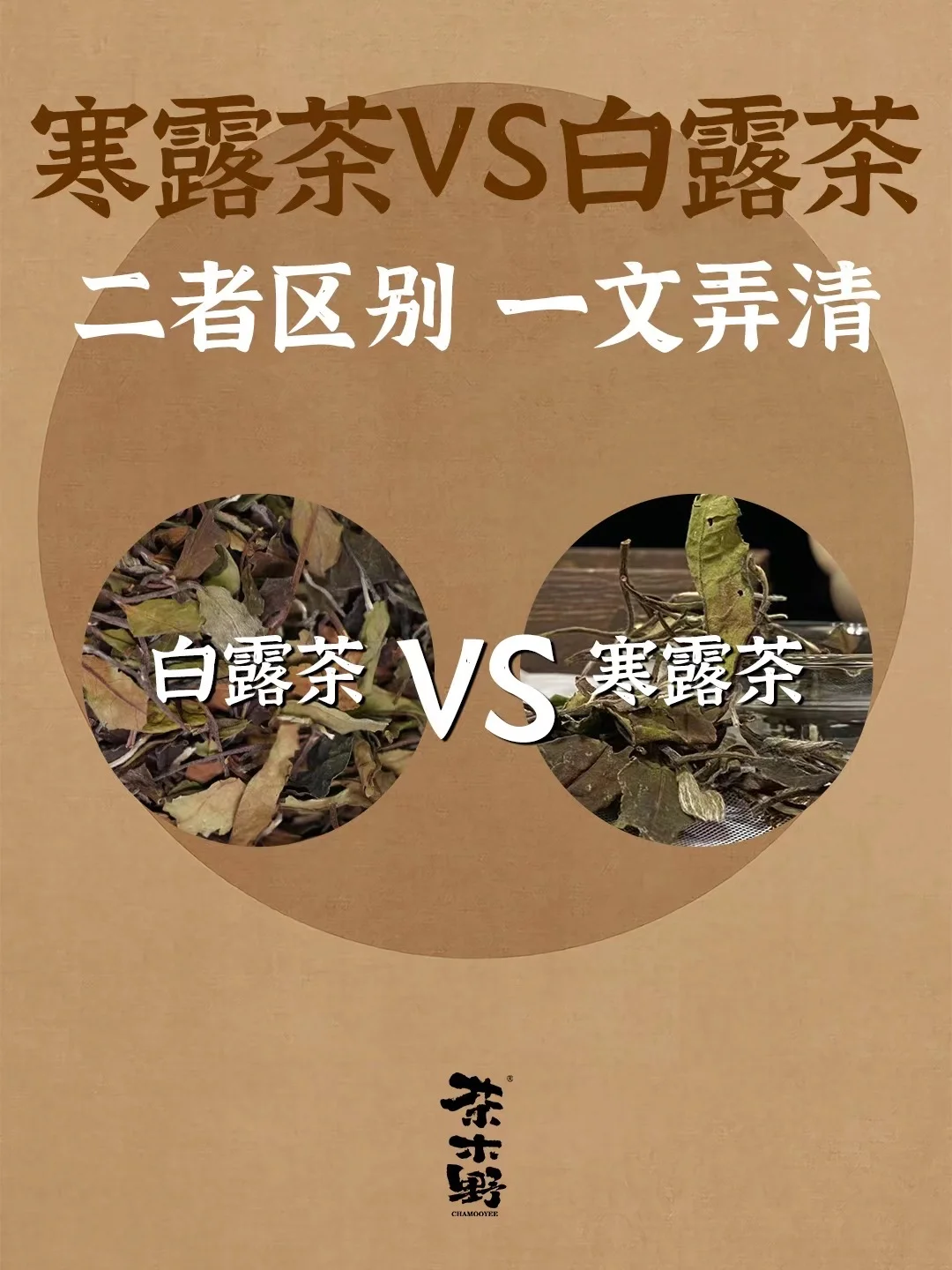 知识分享丨一分钟了解寒露茶和白露茶
