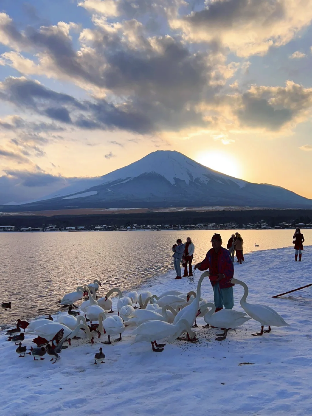 春节慢乐 | 📝暴走实拍富士山⛰️多个机位
