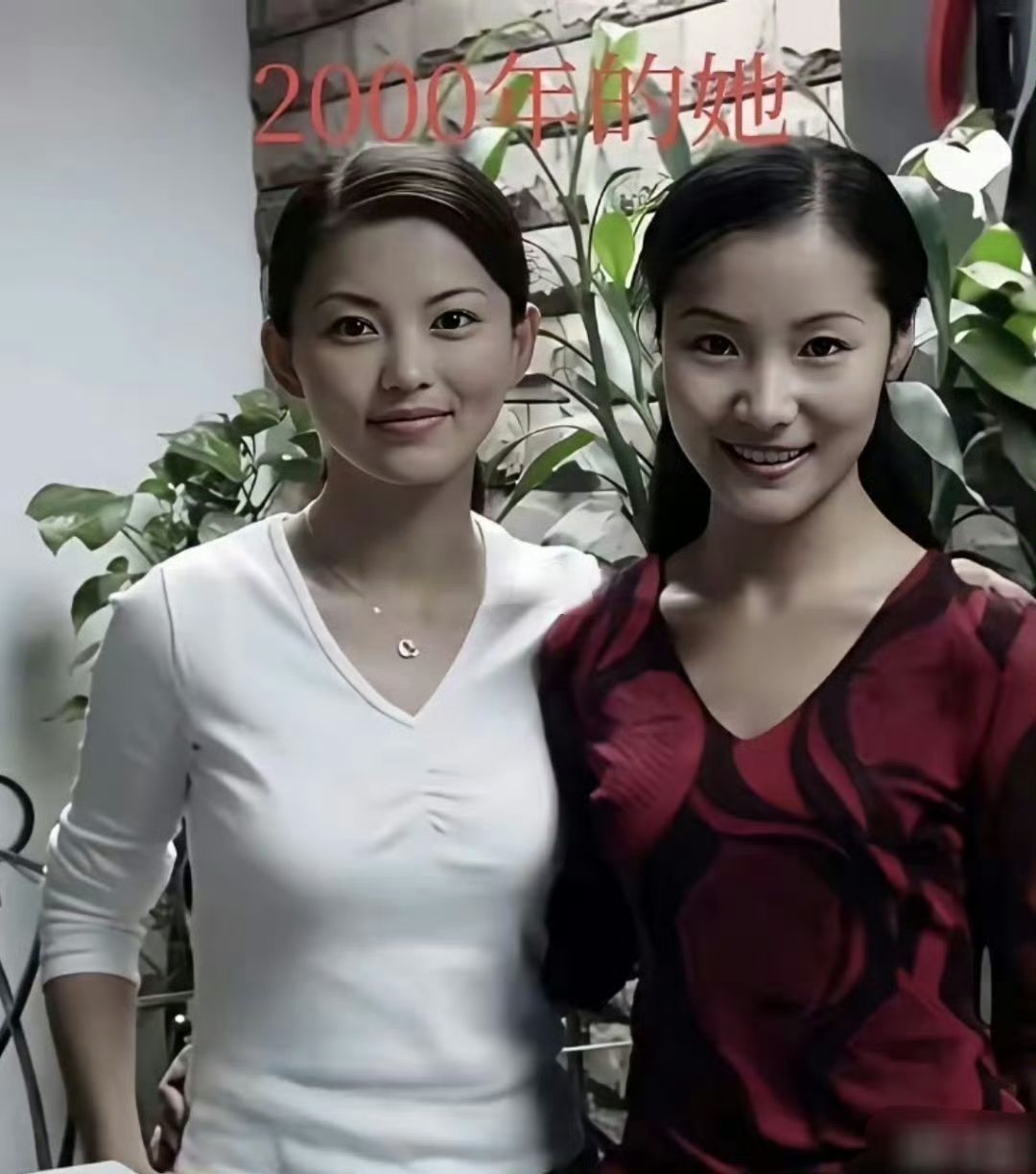 足以证明，这25年李湘吃了多少苦！ ​