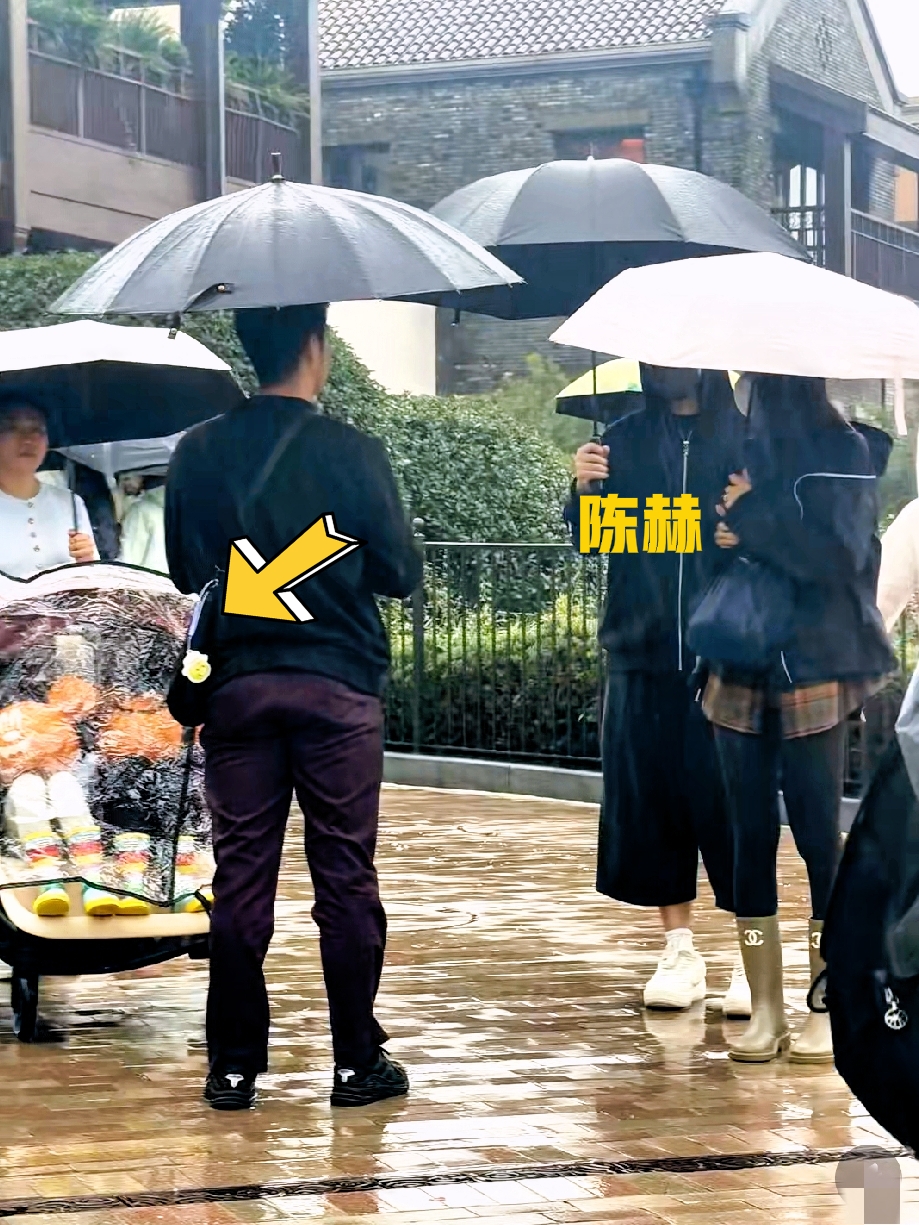 有网友在上海迪士尼偶遇陈赫，他和老婆张子萱，带两个女儿来玩！没想到今天邓超又去了，他俩真是好兄弟，因为昨天他就在迪士尼，带着女儿小花妹妹玩了一天，还遇到了应采儿一家，不得不说，上海迪士尼也太容易遇到明星了吧，尤其是这些家就住上海的明星，带娃来玩，简直太方便了，感觉她们是不是都办了年卡，一有空就带孩子