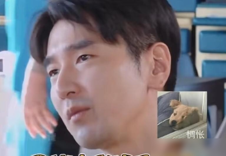 赵又廷在节目里聊起女儿，原话是很遗憾，她长得像我。
黄晓明当场接话，说他儿子也像他，语气还挺骄傲。贾静雯在旁边笑，说这有什么可遗憾的。赵又廷补了一句，真希望女儿像高圆圆，说完自己都摇头。
旁边人全笑了。可你细品，他是真遗憾。别人求之不得的基因，他嫌浪费了老婆那张脸。
人就是这样，老天已经追着喂