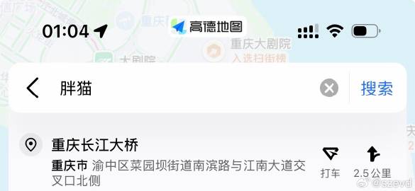 打卡这个大桥，一上去我朋友就问我是不是胖猫那个（她是无恶意地问），然后...