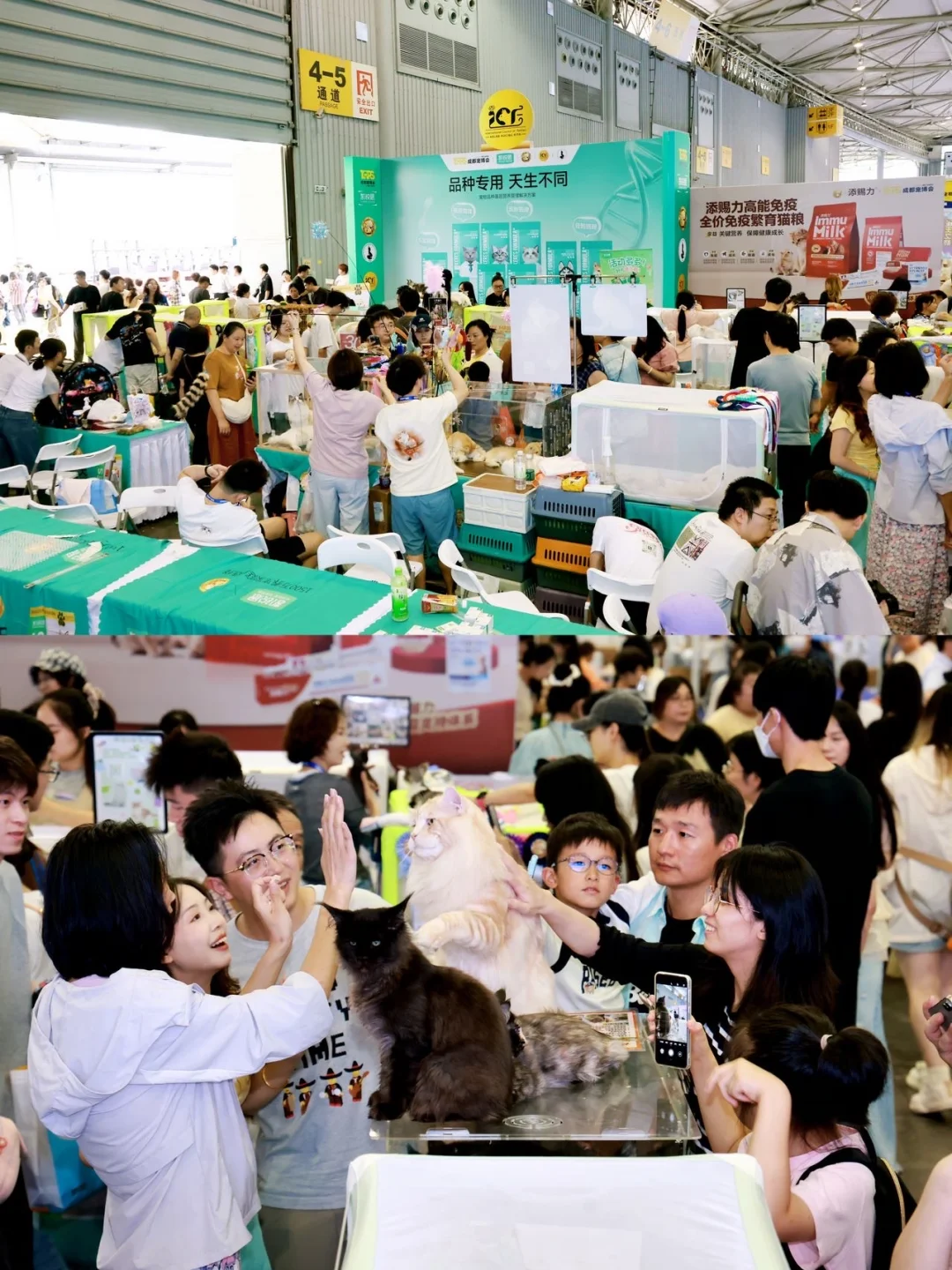 成都铲屎官狂喜！大型宠博会来袭🐶