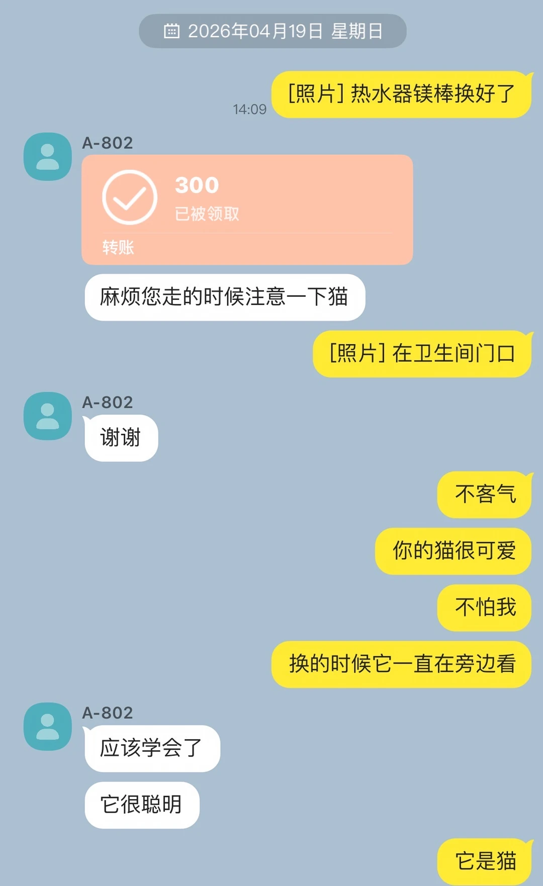 这个直球总是过分冷傲
