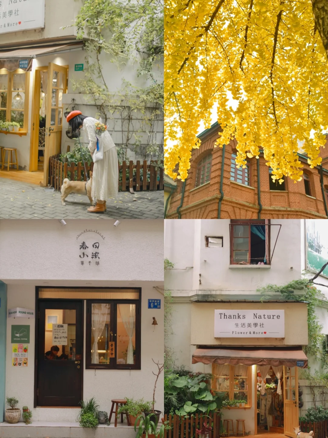 武汉这条文艺街道媲美鼓浪屿，像在国外街头