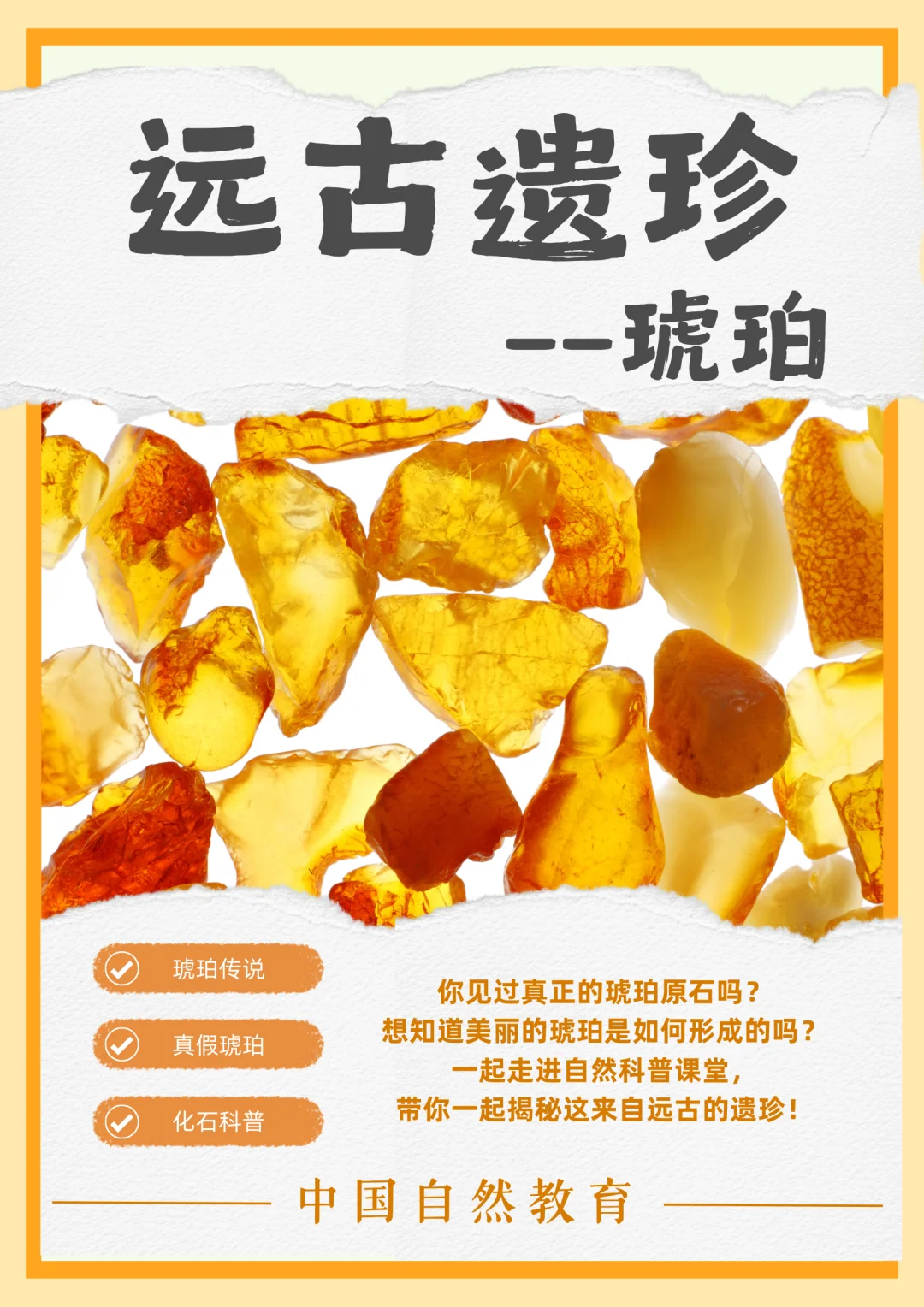 科普知识｜远古遗珍——琥珀